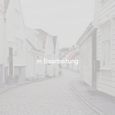 Aufarbeiten alter Türen